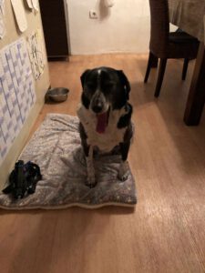 liza_juni20_12 - Kopie