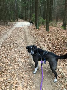 liza_juni20_17 - Kopie