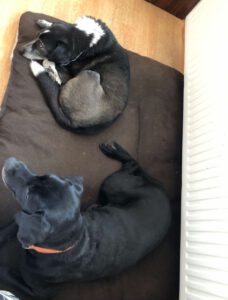 liza_juni20_18 - Kopie
