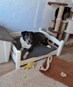 liza_juni20_28 - Kopie