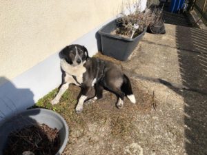 liza_juni20_8 - Kopie