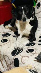 liza_juni20_9 - Kopie