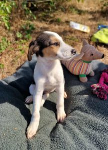 louisiana_Apr21_2