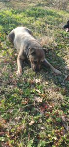 mrstara_jan20_16
