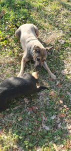 mrstara_jan20_19