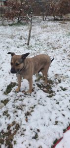 mrstara_jan20_6