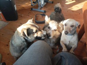 mrstara_jan20_8