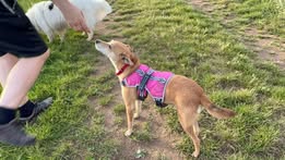 nico_Sep22_18
