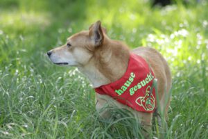 nico_Sep22_4