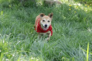 nico_Sep22_8