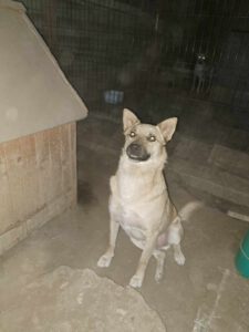 riko_jan20_2