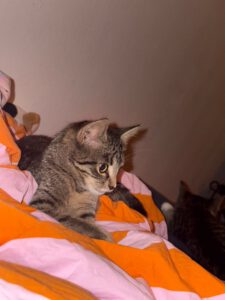 saphie_mai25_6