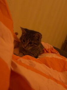 saphie_mai25_7