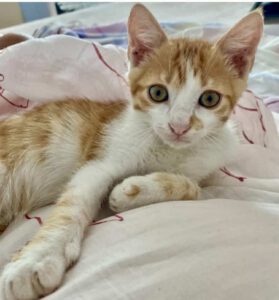 MATI_04.04.2025