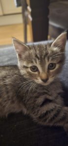 MIA_01.05.2025