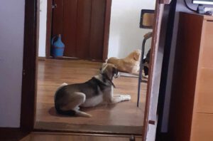sissy_jul22_1