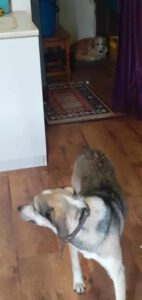 sissy_jul22_4
