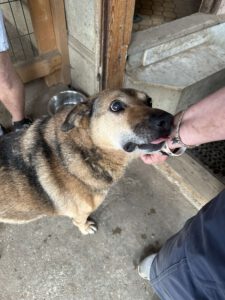 stefan_jun18_12