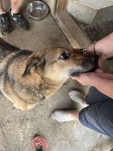 stefan_jun18_14