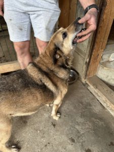 stefan_jun18_16
