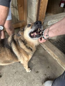 stefan_jun18_17