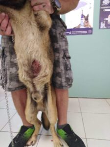 stefan_jun18_2