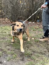 stefan_jun18_26