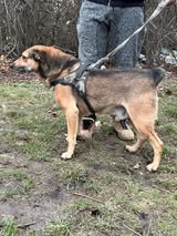 stefan_jun18_28