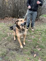 stefan_jun18_29