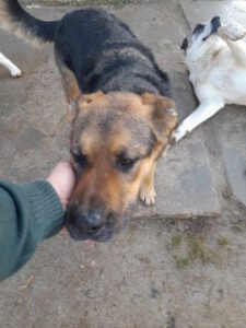 tomas_2017_12