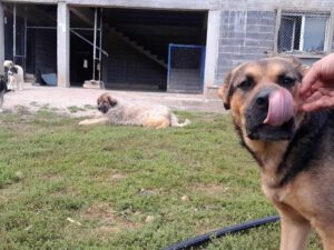 tomas_2017_21