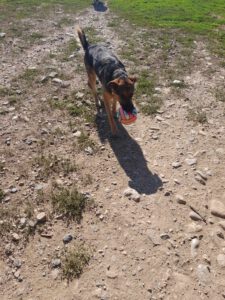 tomas_2017_22