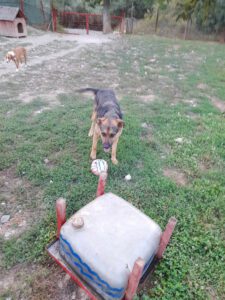 tomas_2017_23