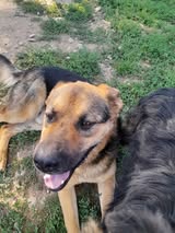tomas_2017_26