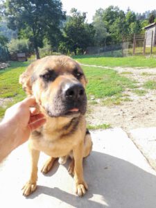 tomas_2017_7