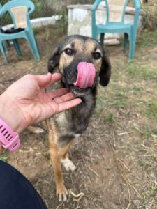 yang_juni23_23