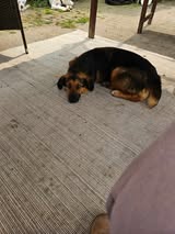 yara_jun23_8