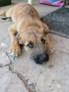 zara_Apr22_12