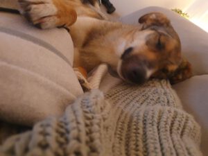 zeeta_dez23_12