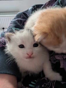 BUBU & BAZUKA_05.2025