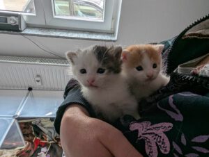 BUBU & BAZUKA_05.2025