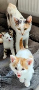 BUBU&BAZUKA&BALI_05.2025