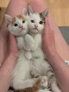 BUBU & BAZUKA_05.2025