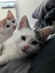 BUBU & BAZUKA_05.2025