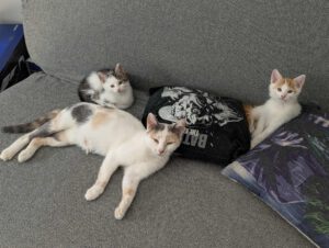 BUBU & BAZUKA_05.2025