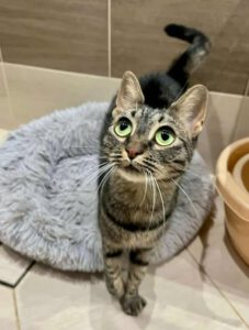 MISHI_01.10.2023