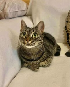 MISHI_01.10.2023