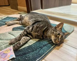 MISHI_01.10.2023