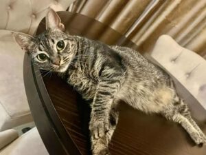 MISHI_01.10.2023