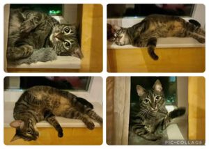 MISHI_01.10.2023